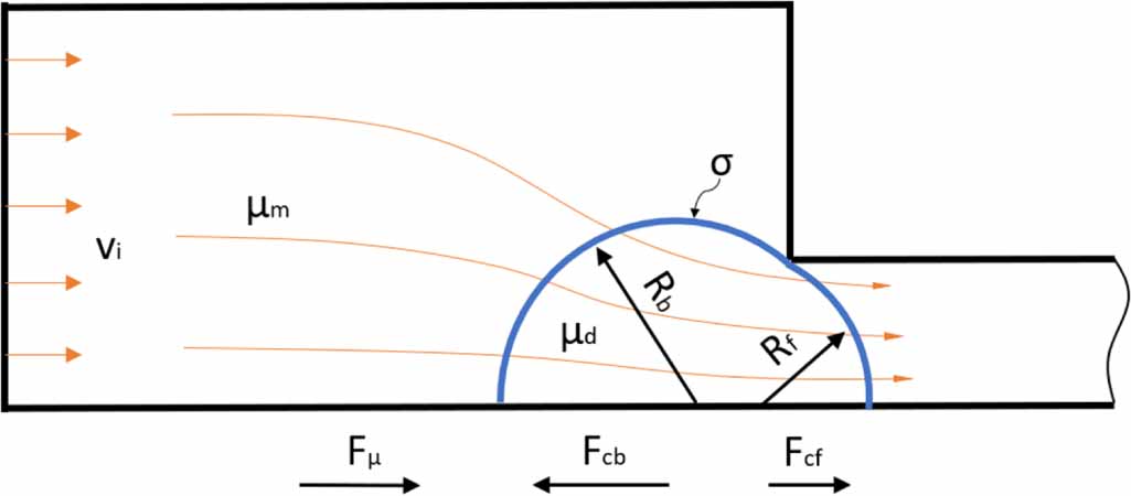 Simultaneous effects of capillary number, viscosity ratio, and ...