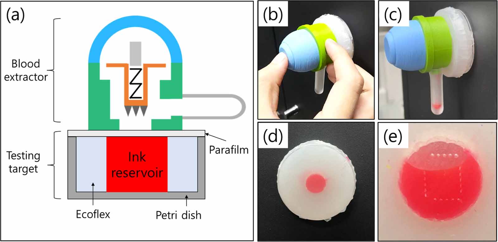 Development of microneedle based blood extraction device - IOPscience