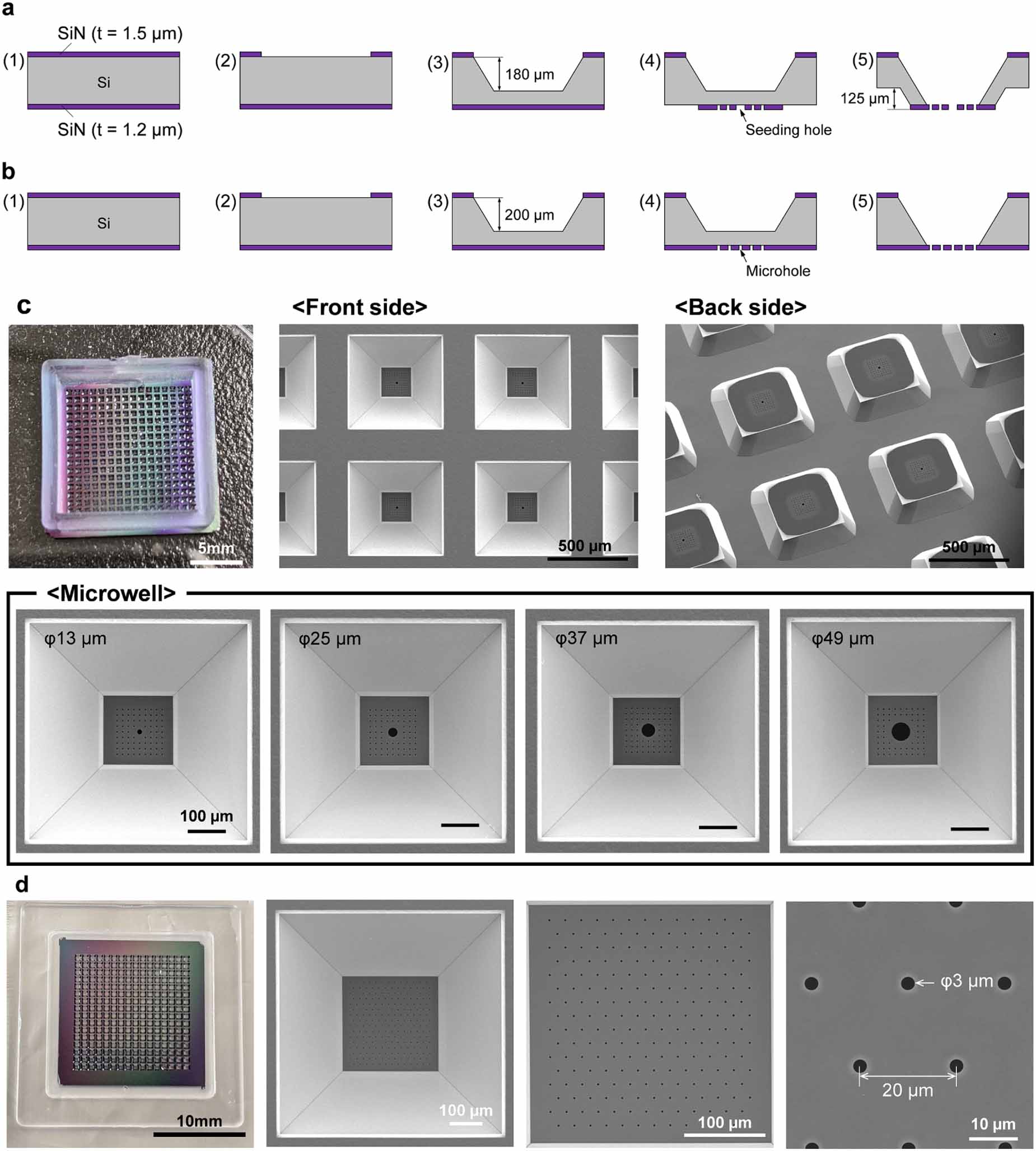 Neuron Array Two-layered microwell-array device for preparation of single-neuron ...
