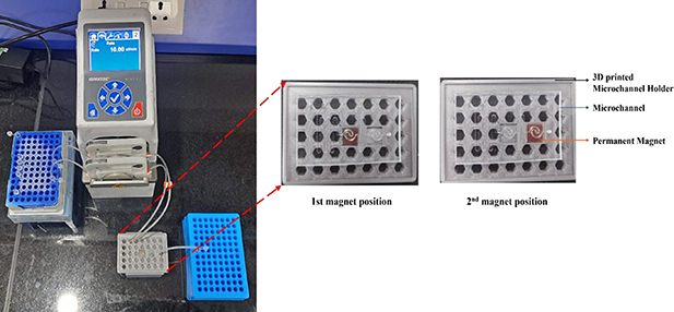 Nucleic acid purification through nanoarchitectonics: magnetic bead ...