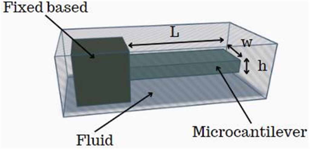 High-accuracy prediction of microcantilever sensor for fluid detection ...