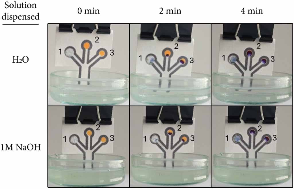 Development of a control zone for paper-based analytical devices using ...