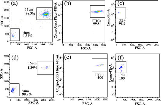 Particle separation chip integrating micro-pillar array with tilted ...