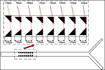 Particle separation chip integrating micro-pillar array with tilted ...