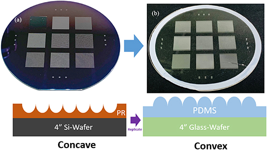 A rapid method for fabricating and replicating microlens array ...