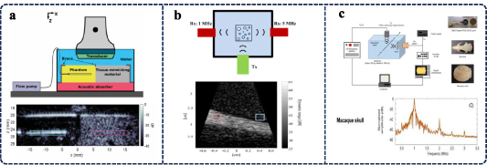 Cmut Chip Applications of capacitive micromachined ultrasonic transducers ...