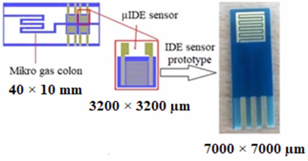 The prototype application of the micro interdigitated electrode (µIDE ...