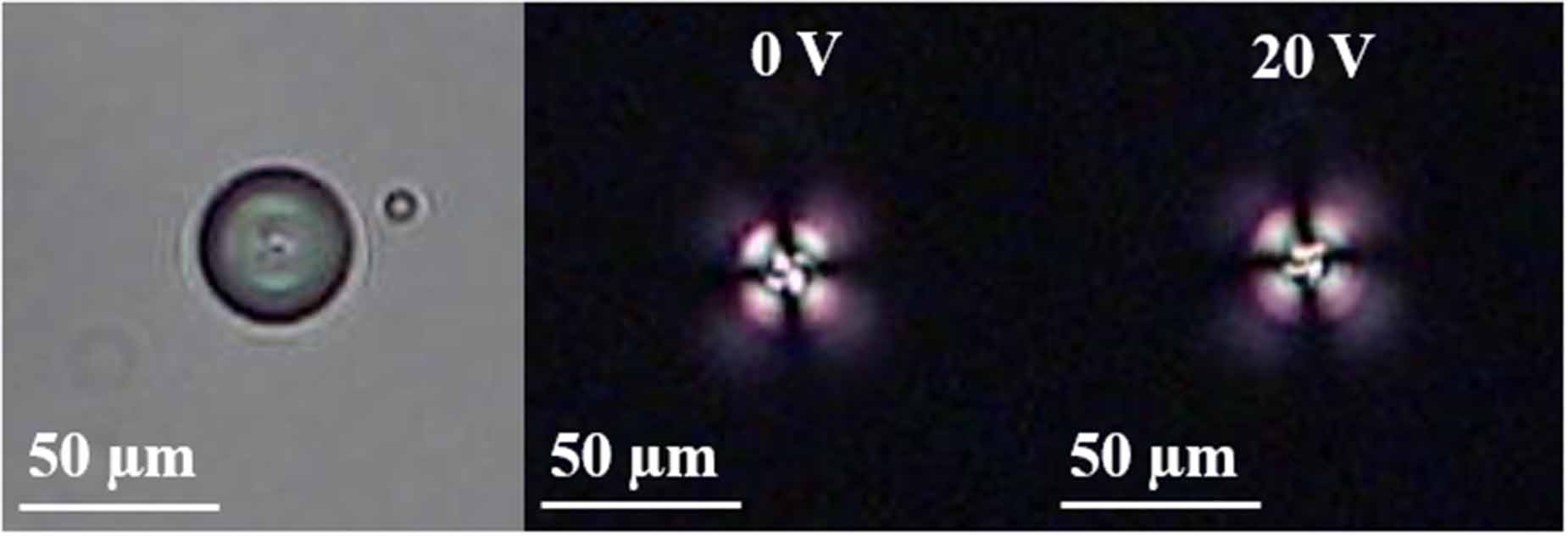 Enhanced automatic sorting of liquid crystal droplets via a rotating ...