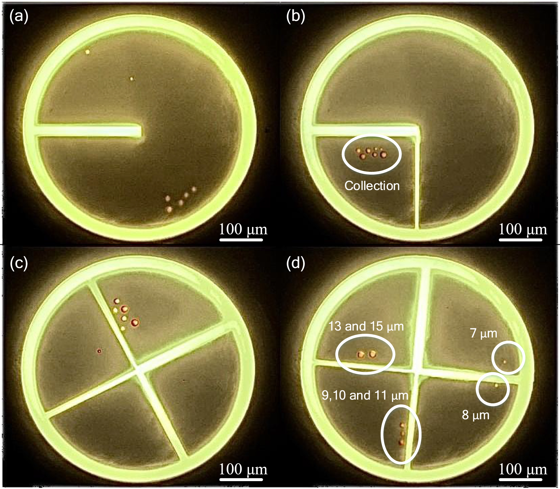 Enhanced automatic sorting of liquid crystal droplets via a rotating ...