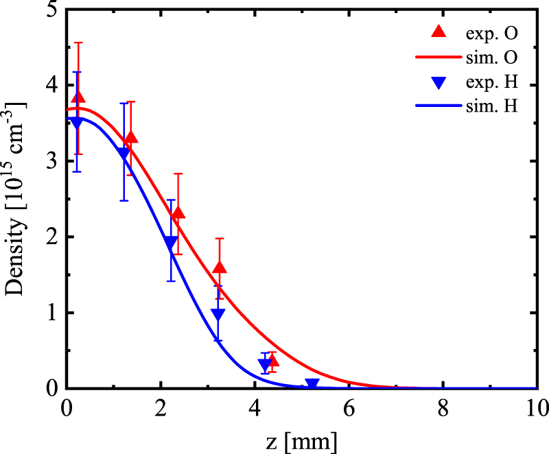 The spatial distribution of hydrogen and oxygen atoms in a cold ...