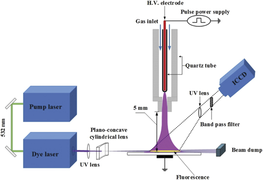 Foundations of plasmas for medical applications - IOPscience