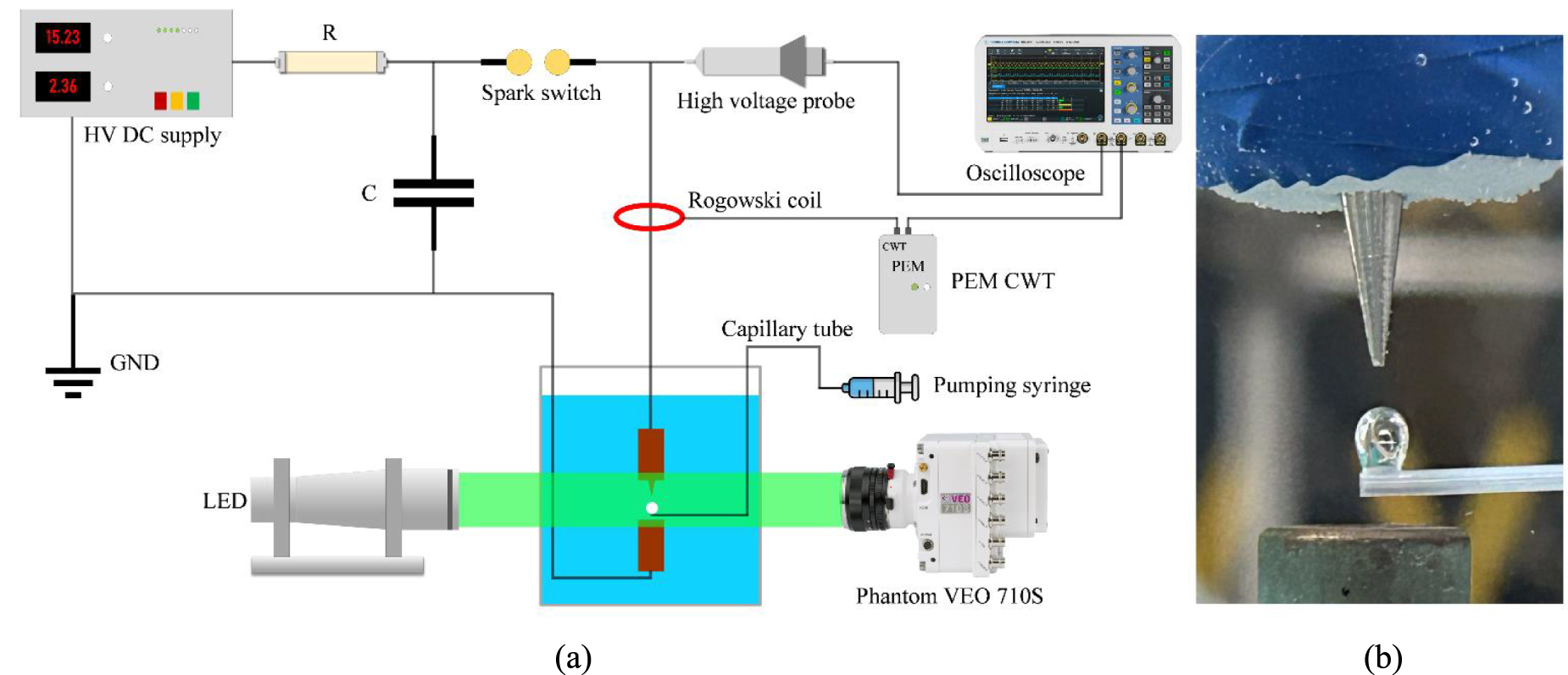 The propagation of negative pulsed discharges facilitated by