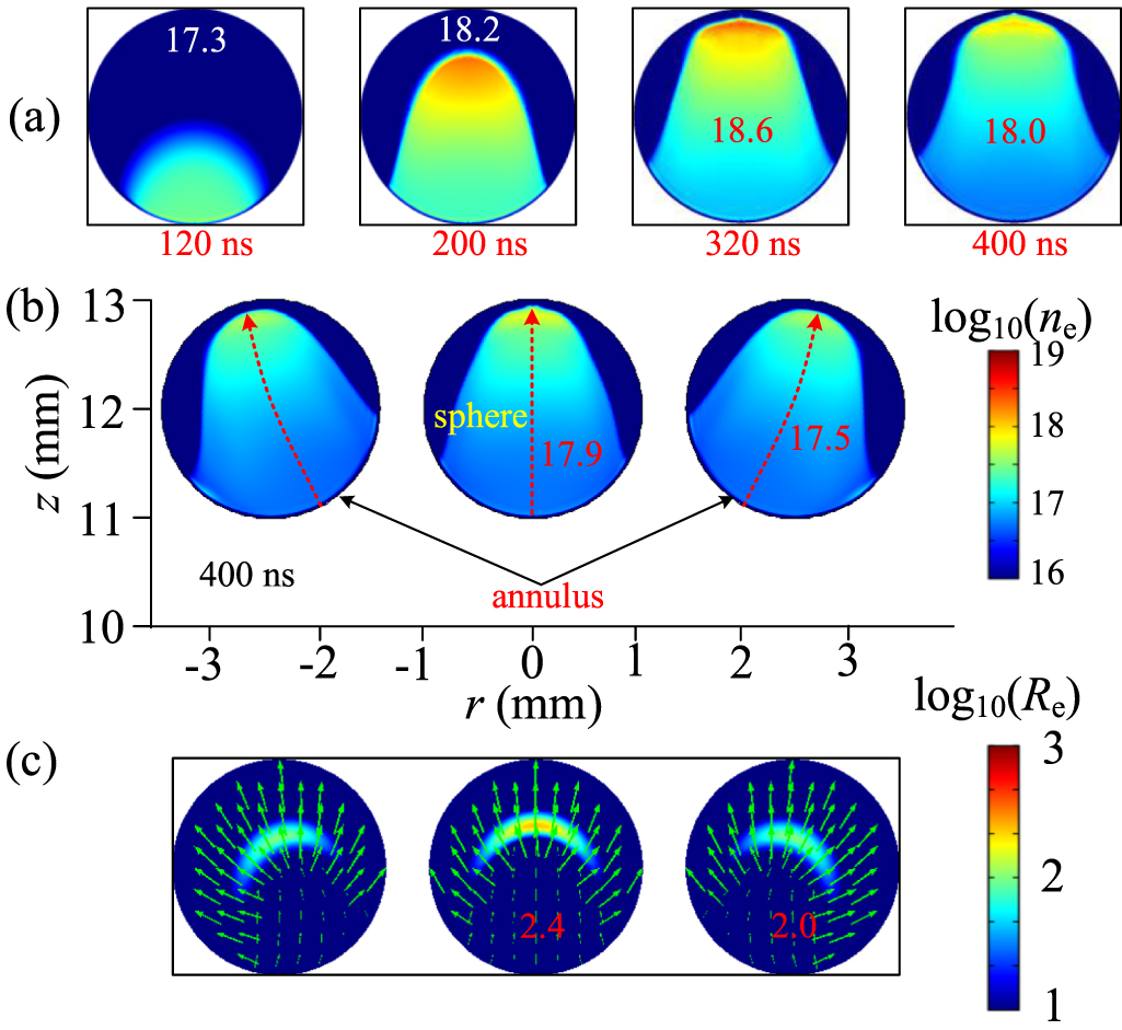 Numerical investigation on the discharge formation in micrometer pores ...