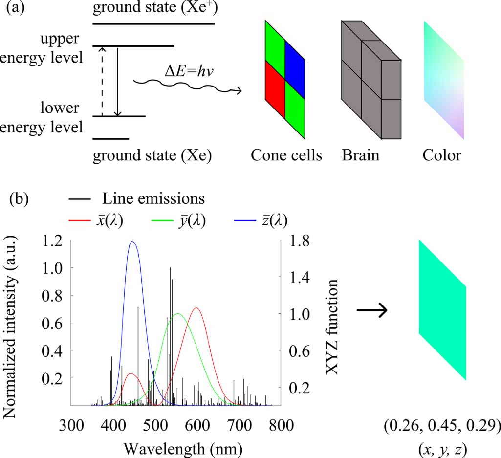 Collisional radiative model based investigation on the color