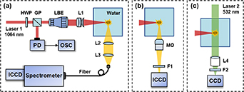 Temperature determination of laser-induced plasma in water - IOPscience