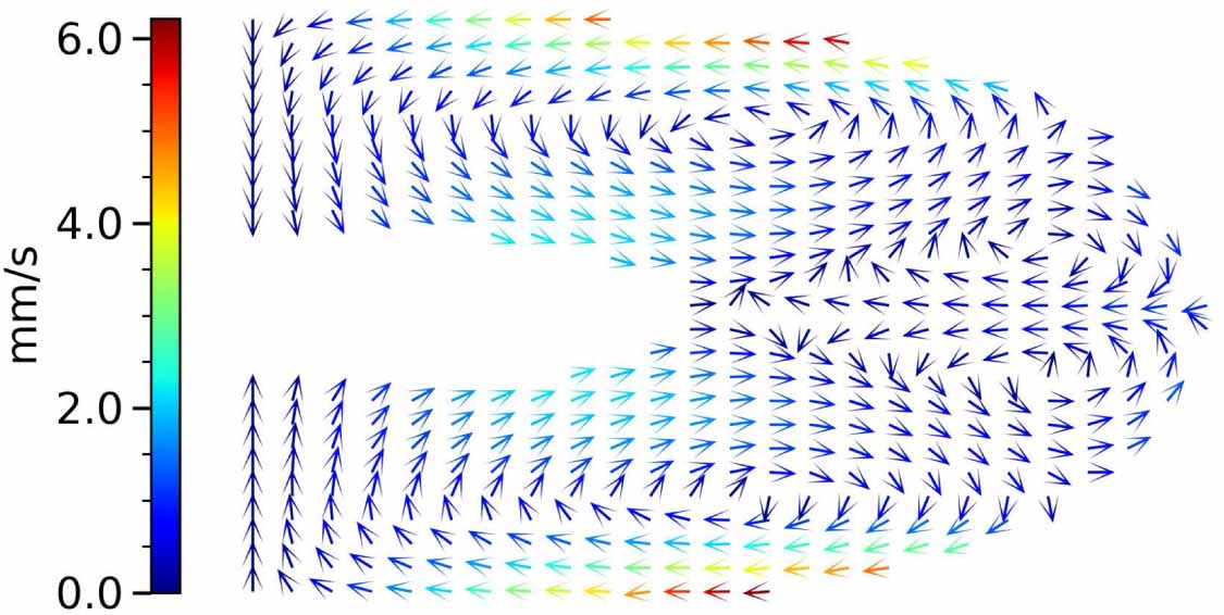 Complex Discharges Dust-cloud spatial distribution and striated discharge structure in ...