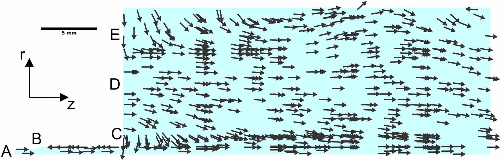 Plasma–flow coupling and metastable evolution in a cold argon plasma ...