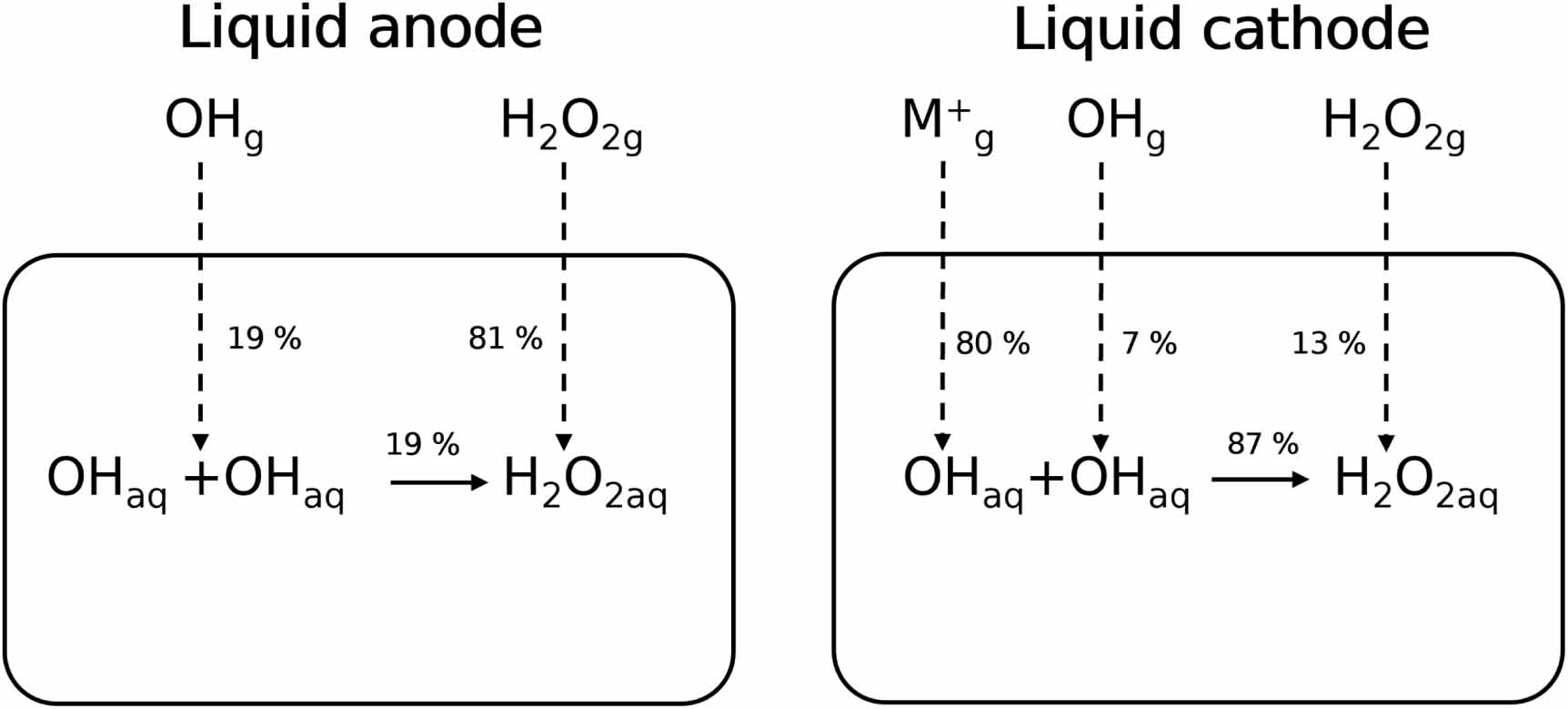 Hydrogen peroxide formation mechanisms in liquid anode and cathode ...