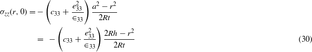 Equation (30)