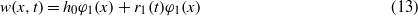 Equation (13)