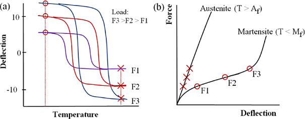 Engineering design framework for a shape memory alloy coil spring ...