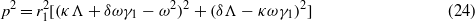 Equation (24)