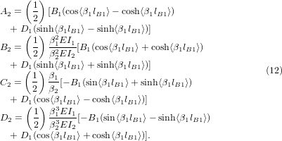Equation (12)
