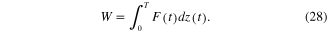 Equation (28)