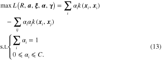 Equation (13)