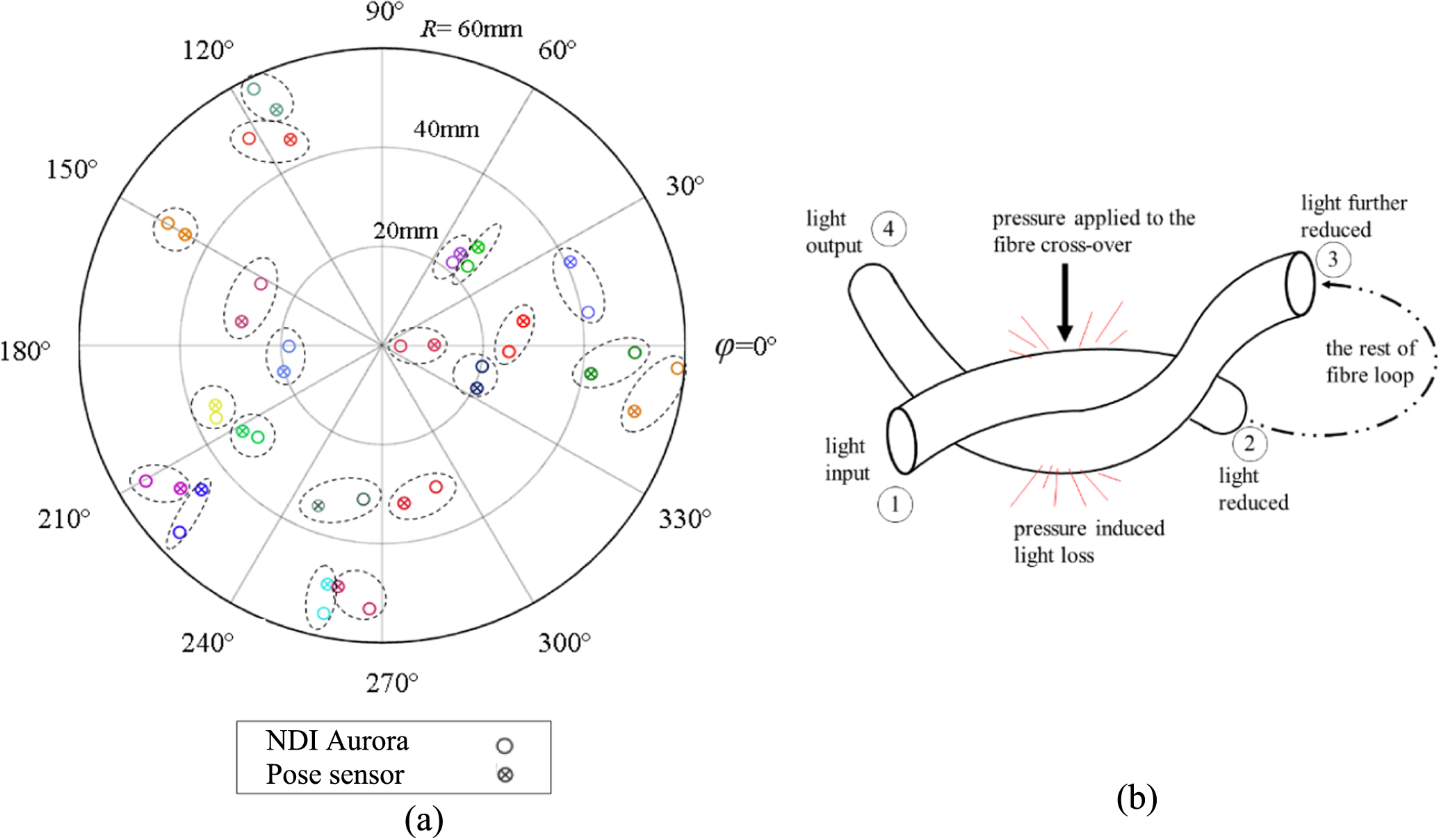 Macrobend optical sensing for pose measurement in soft robot arms