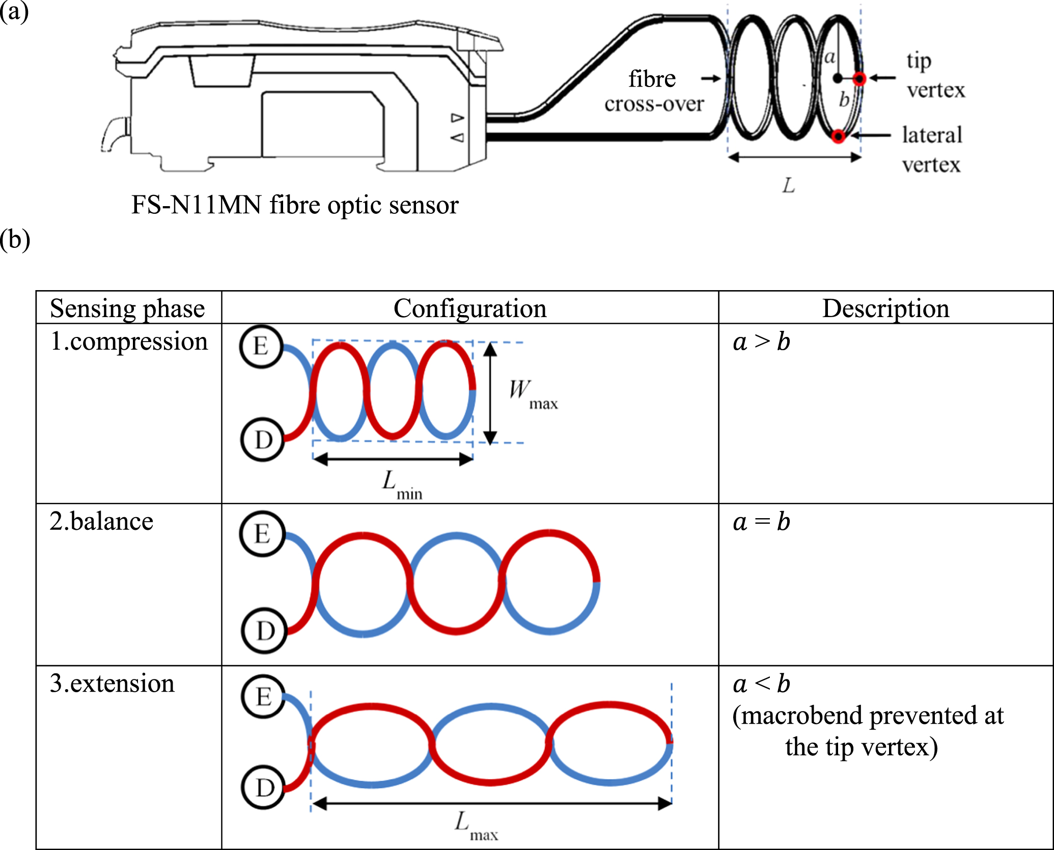 Macrobend optical sensing for pose measurement in soft robot arms