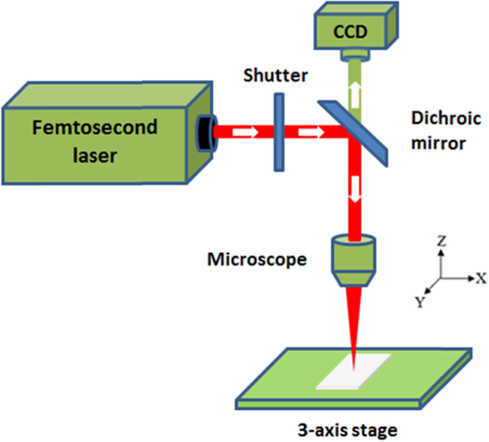 Hand Force Sensor Design and fabrication of auxetic stretchable force sensor for hand ...
