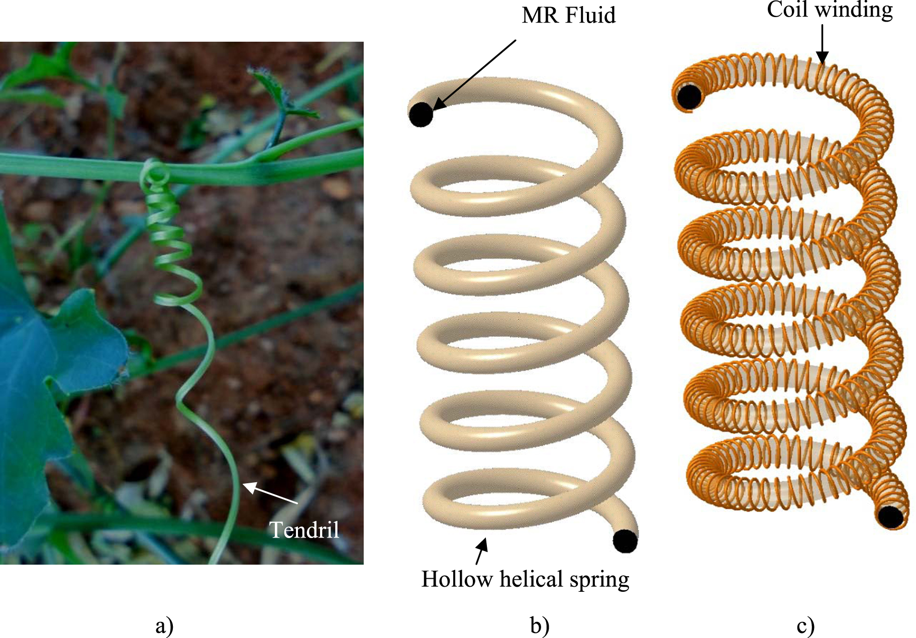 Tendril Spring Pattern Bio-inspired device: a novel smart MR spring featuring tendril ...