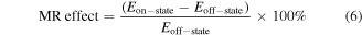 Equation (6)