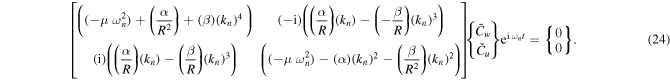 Equation (24)