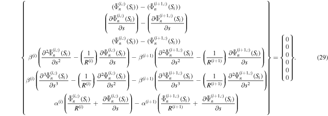 Equation (29)