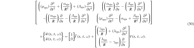 Equation (30)