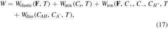Equation (17)