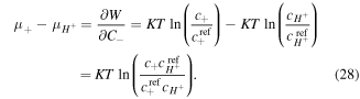 Equation (28)