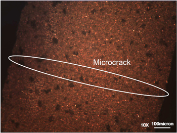 Figure 10. Refer to the following caption and surrounding text.
