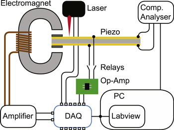 Figure 2. Refer to the following caption and surrounding text.