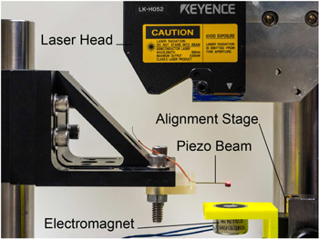 Figure 3. Refer to the following caption and surrounding text.