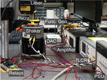 Figure 5. Refer to the following caption and surrounding text.