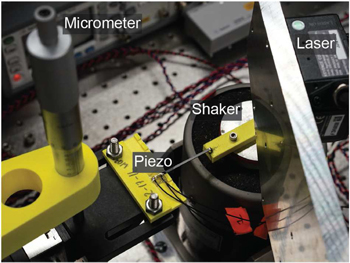 Figure 6. Refer to the following caption and surrounding text.