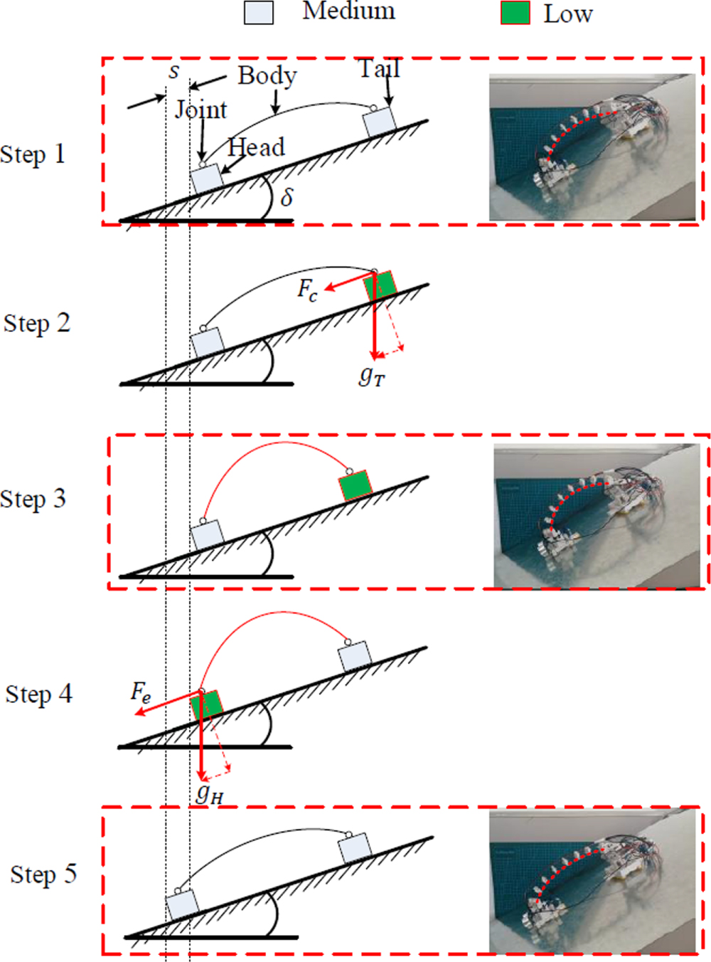 Soft robot with a novel variable friction design actuated by SMA and ...