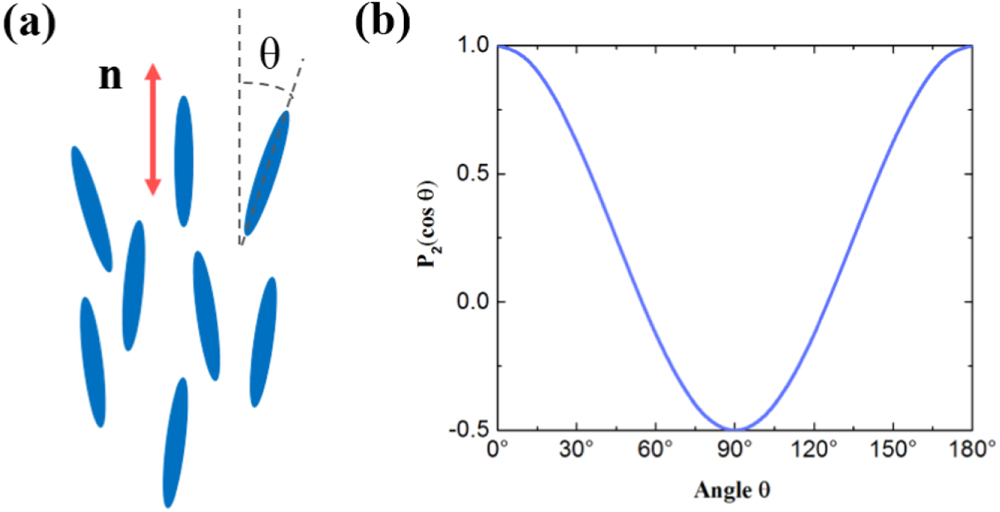 Effects of director orientation on the vibration of anisotropic nematic ...