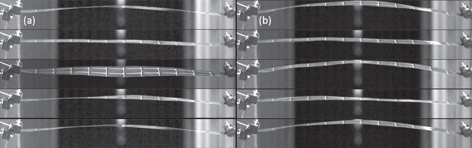 Aeroelastic-photovoltaic ribbons for integrated wind and solar energy ...