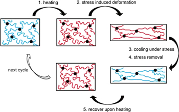 Progress of shape memory polymers and their composites in aerospace ...