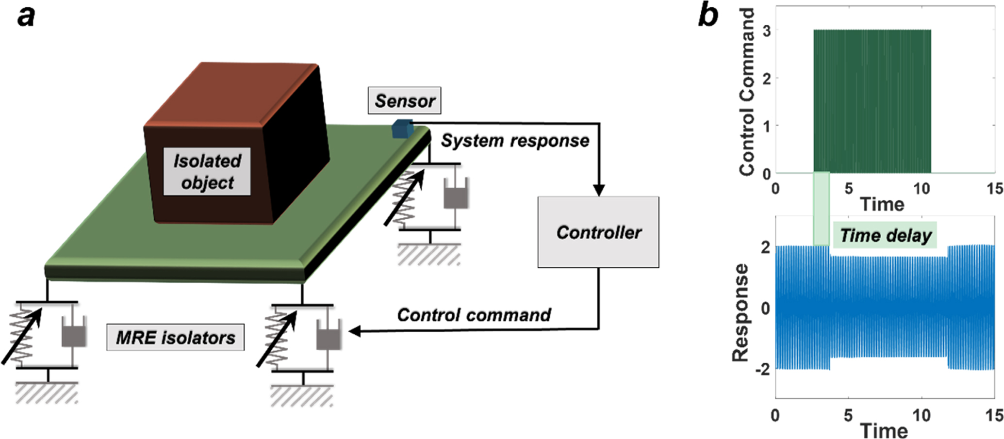 Transient responses of magnetorheological elastomer and isolator under ...