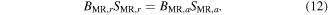 Equation (12)